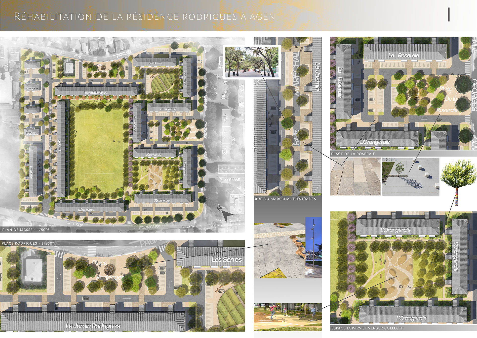 planche-de-concours-architecture